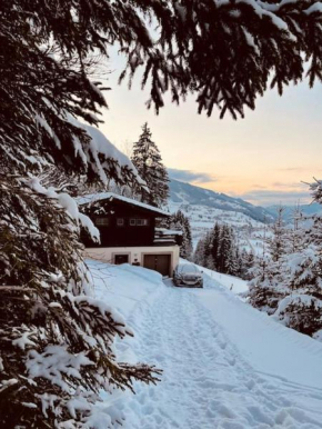 Haus an der Planai (Pistenzugang & Panoramablick) Schladming